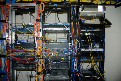 DSC_1325 (Large).JPG